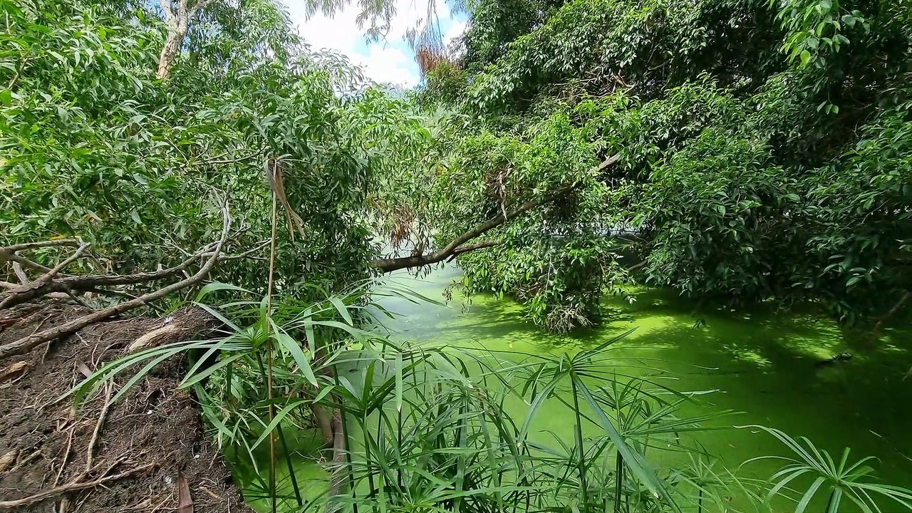 There Are Predators Lurking in Northern Australia