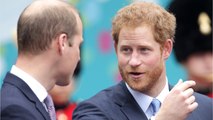 FEMME ACTUELLE - Les princes William et Harry enterrent la hache de guerre pour une cause qui leur tient à cœur