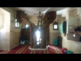 شجرة تهدد الصلوات.. مسجد الرحمن في الريحاني آيل للسقوط