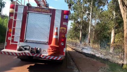 Fogo em entulho se espalha em região de mata Santa Cruz