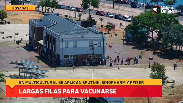 Largas filas para vacunarse