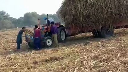 Un paysan a mis trop de foin dans sa remorque !