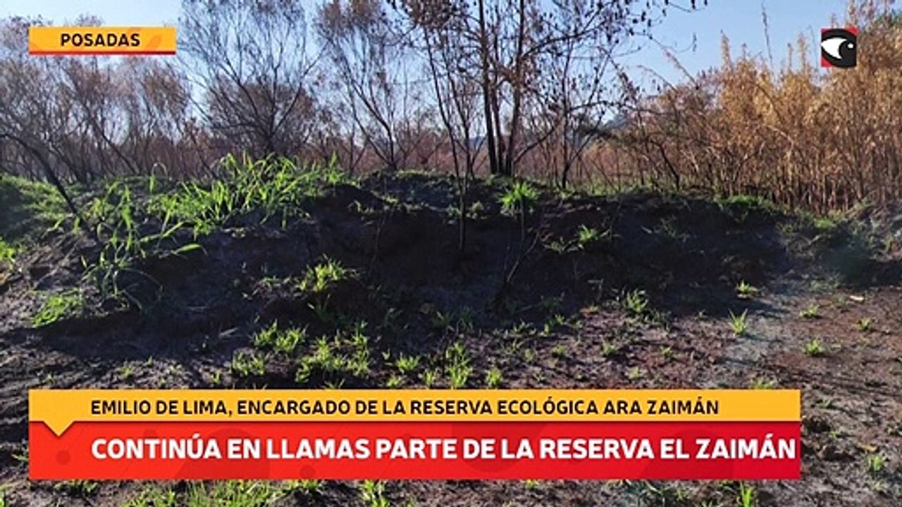 Continúa en llamas parte de la reserva El Zaimán