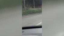 Un coche de los Mossos se incendia en Granollers durante el traslado de un detenido