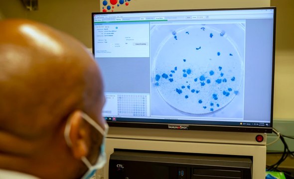 Omicron Infection Could Increase Immunity to Delta Variant, Study Suggests