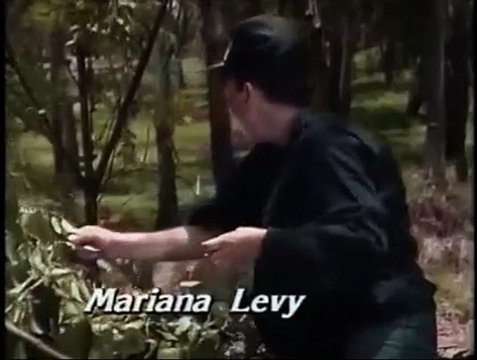 Rosa salvaje capitulo 25
