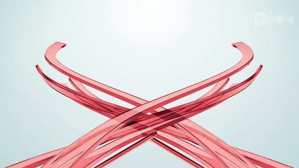 Motorista filma gado na pista e é atingido por carro; Veja