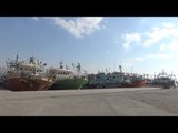 عودة مراكب الصيد بخليج السويس بعد توقف 10 أيام بسبب الطقس السيئ