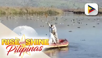 GLOBALITA: Higit 5-K cranes sa Israel, namatay