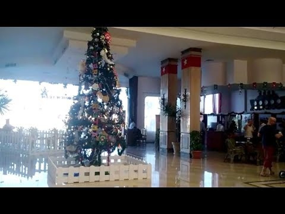 شجرة الكريسماس مخبوزة في فنادق الغردقة استعدادا...
