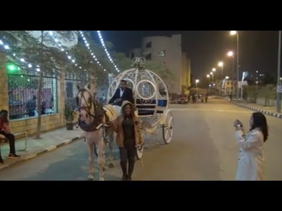 بعربة سندريلا ومراجيح جامعة المنصورة تستقبل واف...