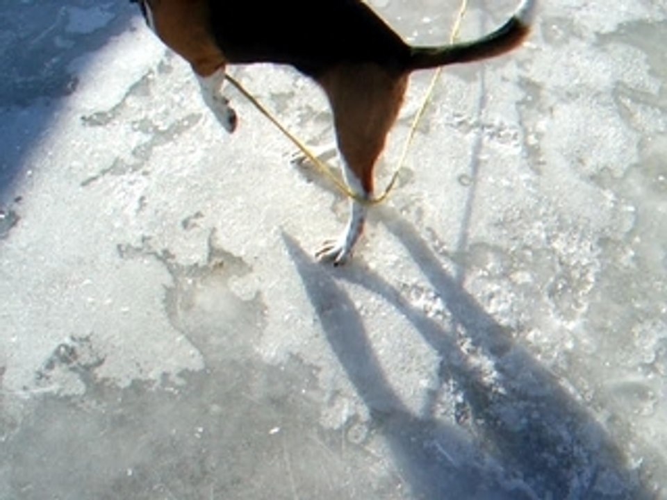 Billy et la glace
