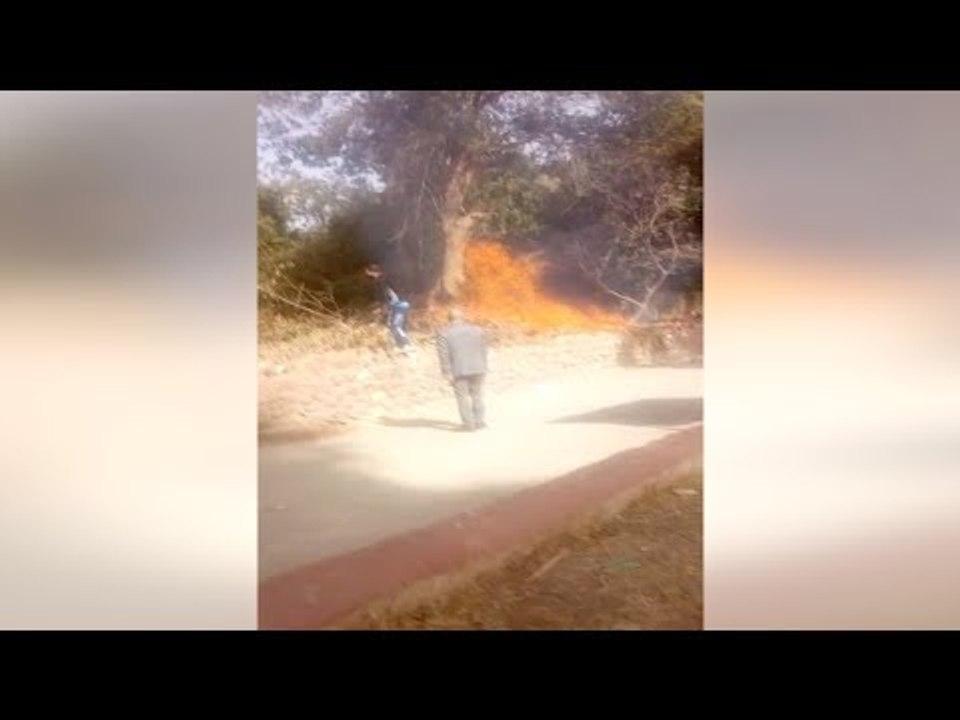 إخماد حريق بجوار "بيت الكلاب" في حديقة الحيوان