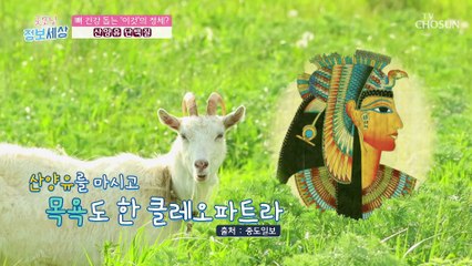 뼈 건강에 도움이 되는 ‘이것’의 정체는? TV CHOSUN 211229 방송