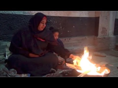 ببيع الخس والذرة.. أميرة تعول زوجها المريض وأطفالها الأربعة