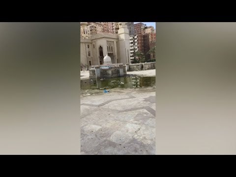 صرف صحي وكلاب وباعة جائلين في مسجد المرسي أبو العباس بالإسكندرية