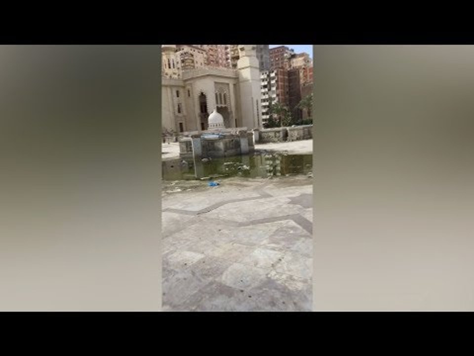 صرف صحي وكلاب وباعة جائلين في مسجد المرسي أبو العباس بالإسكندرية