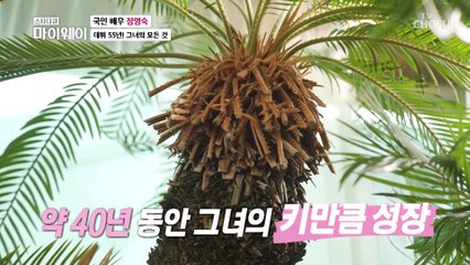 세월을 품고 있는 정영숙 하우스 공개 ✧TV CHOSUN 20220102 방송