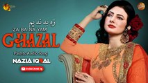 Za Ba Na Yam | Nazia Iqbal | Pashto Audio Song | Spice Media