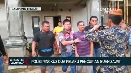 Detik-Detik Polisi Ringkus Dua Pelaku Pencurian Buah Sawit