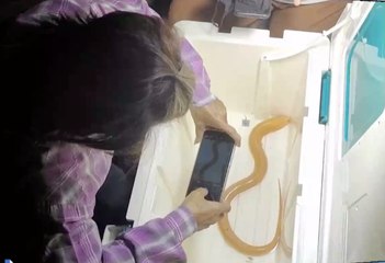 เรื่องพลบค่ำ ช่วงที่ 1 วันพุธที่ 29 ธ.ค.64