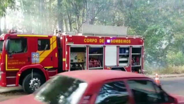 Área de mata é tomada por incêndio às margens do Viaduto do XIV de Novembro