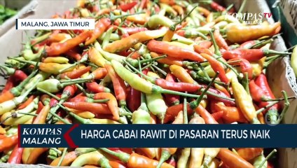 Harga Cabai Di Pasaran Semakin Pedas