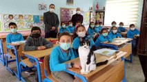 Soğukta okula sığınan kediye öğrenciler sahip çıktı...Öğrencilerle beraber derse girip teneffüse çıkıyor, sınıf yoklamasına katılıyor