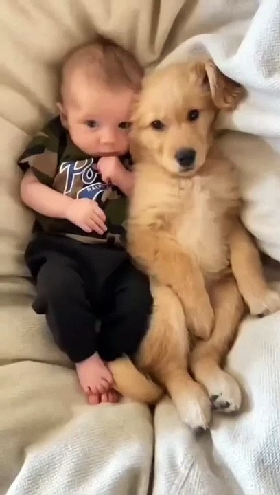 Ultimate Baby Dogs - Cute and Funny Dog Videos Compilation #shorts_2