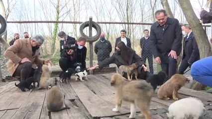 AK Partili Karaaslan, sokak hayvanları bakım merkezini inceledi