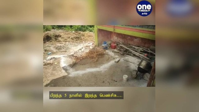 மதுரை: பிறந்த 5 நாளில் இறந்த பெண்சிசு: உடல் தோண்டியெடுப்பு… அதிகாரிகள் விசாரணை!
