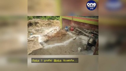 மதுரை: பிறந்த 5 நாளில் இறந்த பெண்சிசு: உடல் தோண்டியெடுப்பு… அதிகாரிகள் விசாரணை!