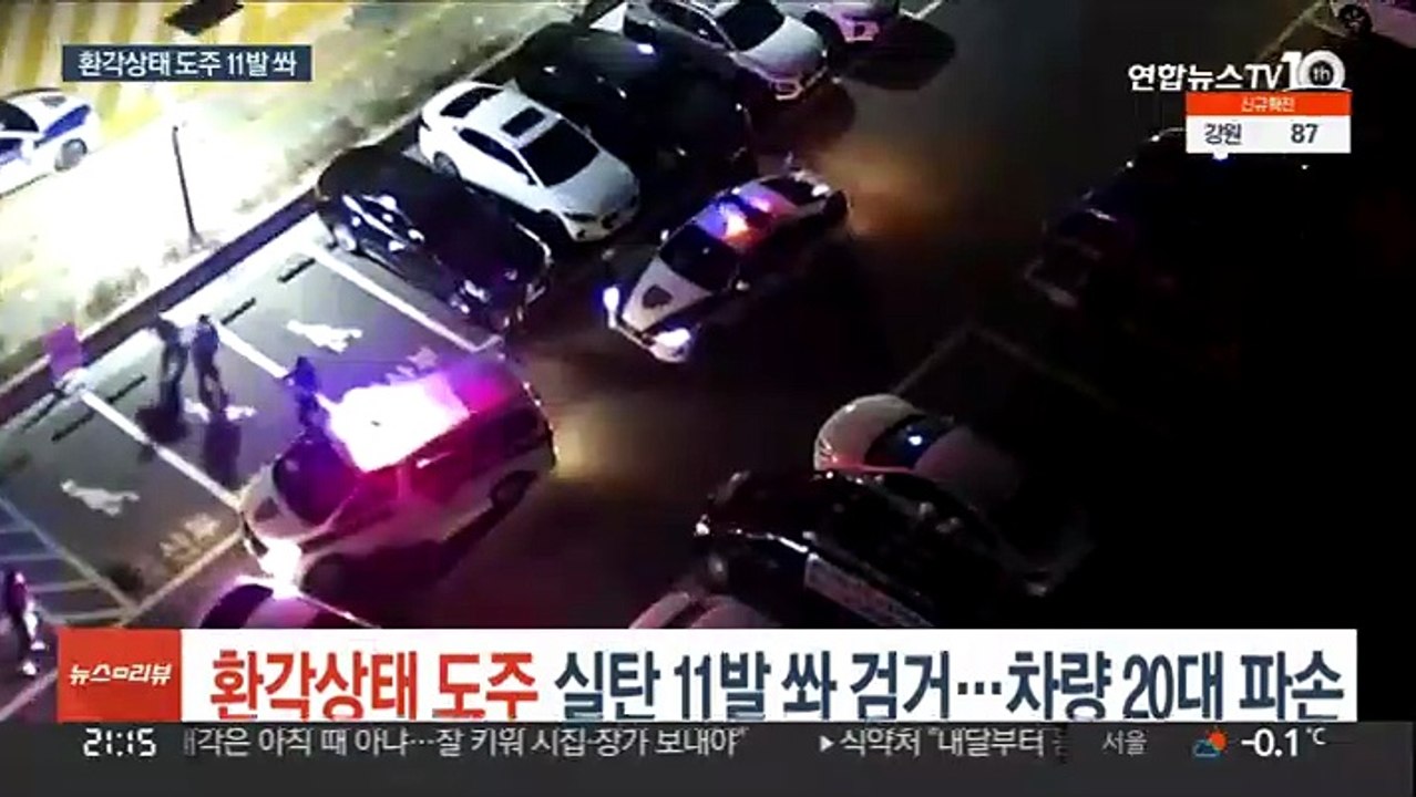환각상태 광란의 도주 30대 조폭 실탄 11발 쏴 검거…차량 20대 파손