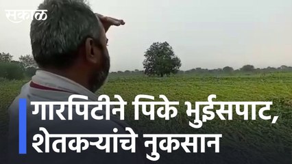 Aurangabaad lगारपिटीने पिके भुईसपाट, शेतकऱ्यांचे नुकसान  l Hail flattened crops l Sakal