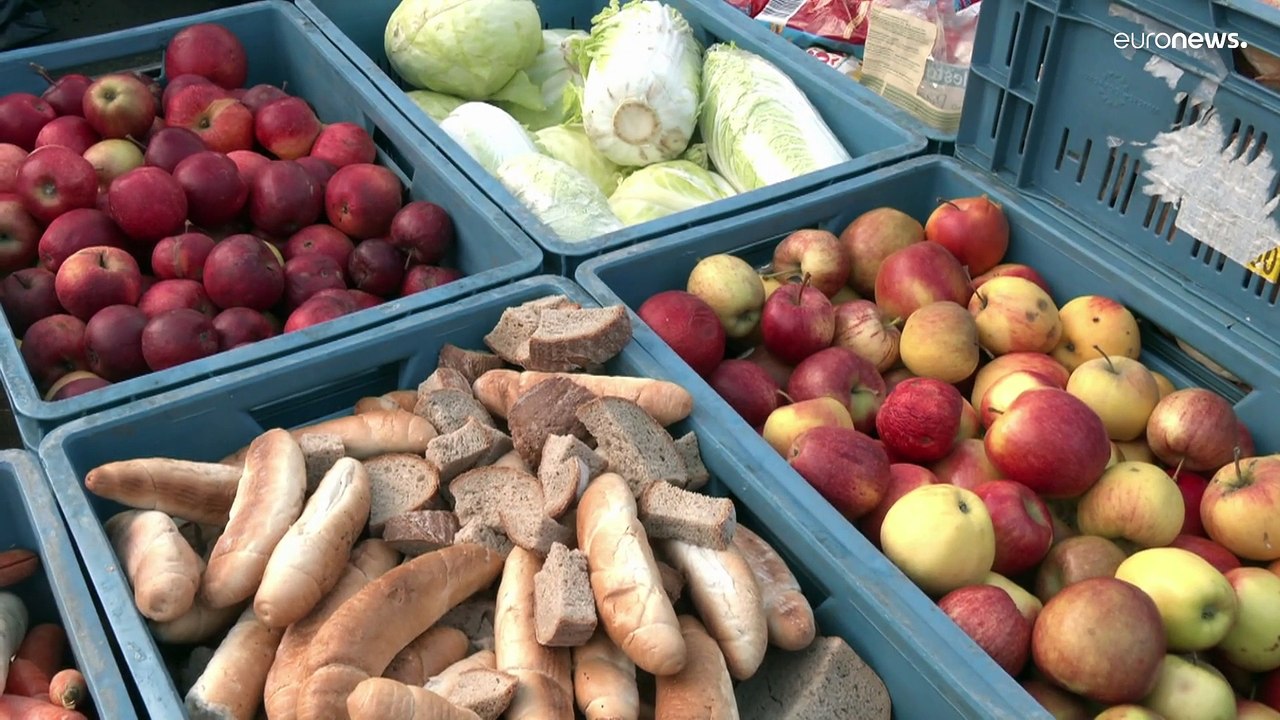 Tiere im Prager Zoo feiern Weihnachten