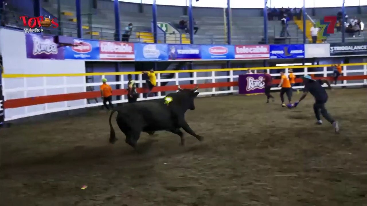 resumen de toros 281221