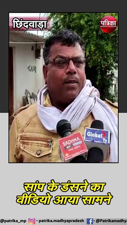 छिंदवाड़ा : लापरवाही ने ली युवक की जान, सांप के डंसने से युवक की मौत