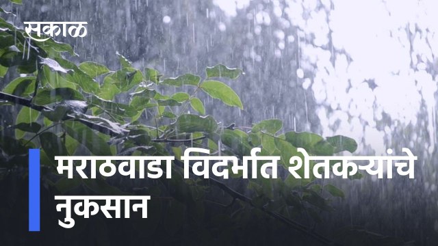 Heavy Rainfall: अवकाळीसह गारपीट; मराठवाडा विदर्भात शेतकऱ्यांचे नुकसान