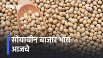 Soyabean: सोयाबीन बाजार भाव आजचे