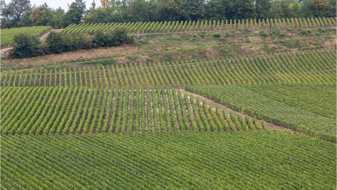 FEMME ACTUELLE - Champagne-Ardenne : entre nature et vignobles