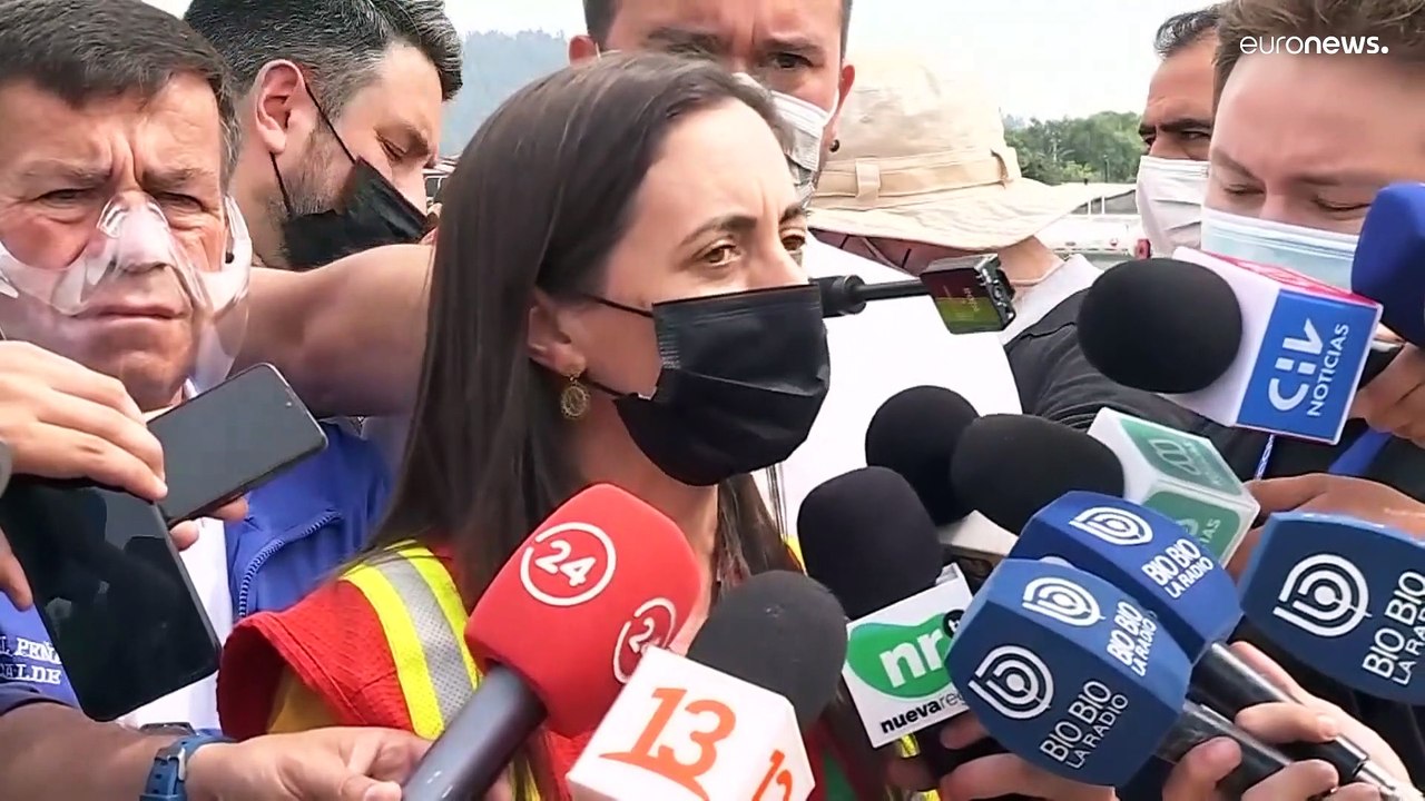 Ante el aumento de incendios forestales, Chile decreta el estado de emergencia agrícola