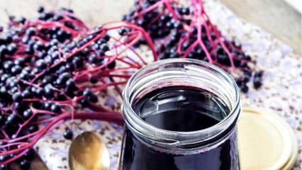 Le sureau, c’est quoi exactement et comment le cuisiner ?