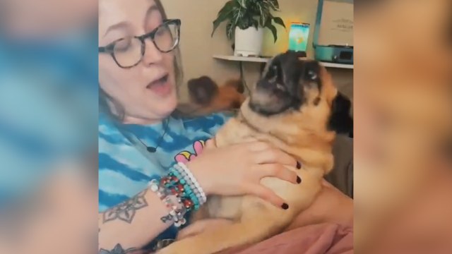 FEMME ACTUELLE - Ce chien dramatise quand on lui coupe les griffes