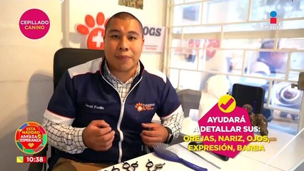 Tips para cepillar el pelo de tu canino sin dañarlo