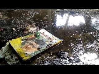 قلوب العصافير تتخلى عن صاحبها وتنجو من حريق محطة مصر