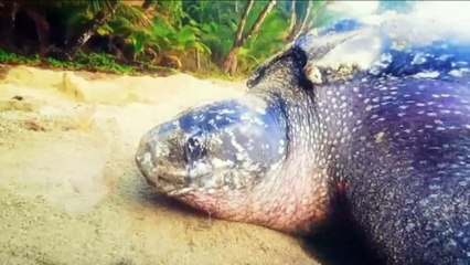 04 - T&T Bureau of Standards : 30th September 2021