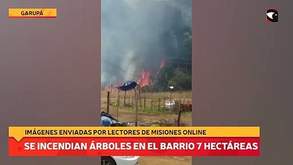 Se incendian árboles en el barrio 7 hectáreas