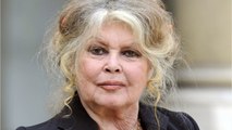 FEMME ACTUELLE - Mort de Nathalie Delon : Brigitte Bardot sort du silence avec un message déroutant