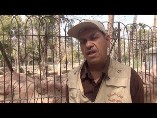 حارس وحيدة القرن زيزي بعد نفوقها: كانت عِشرة