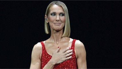FEMME ACTUELLE - Céline Dion : ses rares confidences sur sa nièce Karine, morte à 16 ans